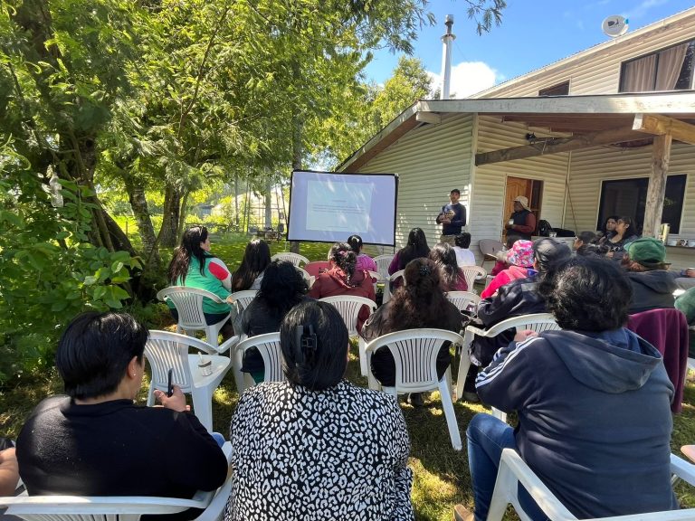 Sence dispone de capacitaciones para personas con discapacidad en Valdivia, Máfil y Río Bueno