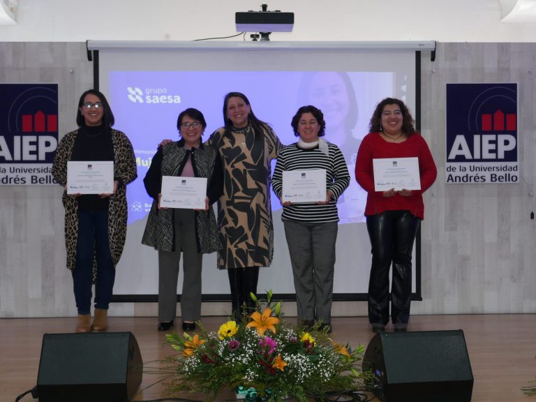 Emprendedoras de las provincias de Osorno y del Ranco iniciaron la séptima escuela de “Mujeres con Energía” de Saesa