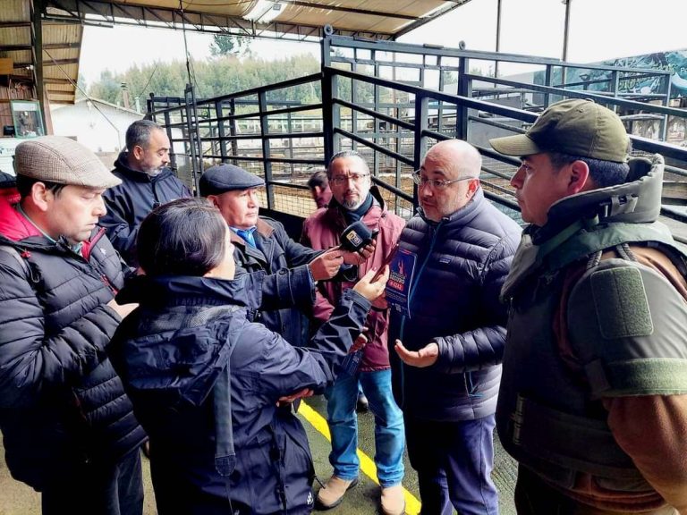Delegado Presidencial del Ranco lidera plan de control y prevención contra el abigeato en Feria Ganaderos de Río Bueno