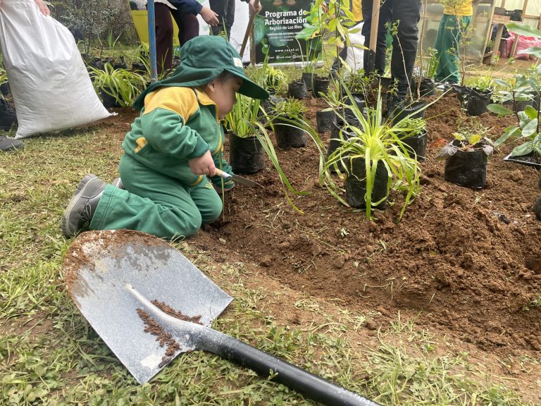 Escuela El Bosque de Valdivia será pionera en producción de plantas nativas