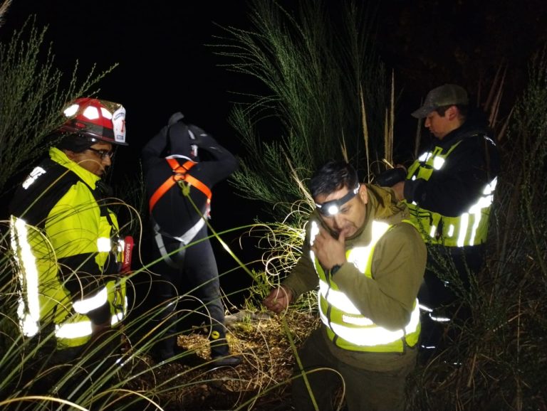 Hombre fallece tras ser arrastrado por la corriente del río Nilahue en Riñinahue