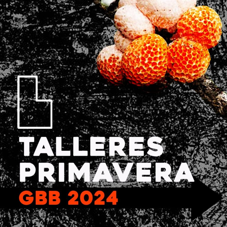 Galeria Barrios Bajos presenta sus panoramas de Primavera 2024