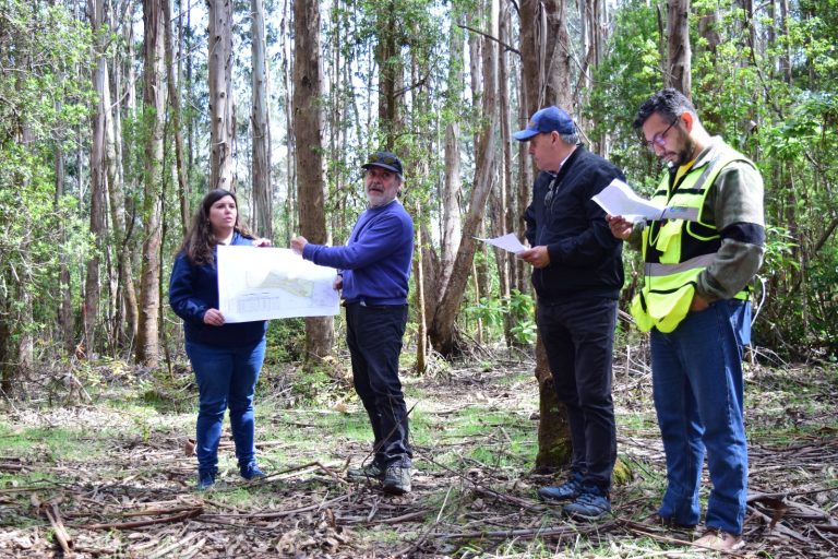 Equipos municipales visitaron terreno donde se emplazará el Centro de Biomasa de la futura Leñería Comunitaria en Corral