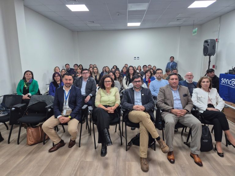 Desafíos para el futuro del trabajo fue el centro de la conversación en encuentro organizado por Sence y OTIC Sofofa
