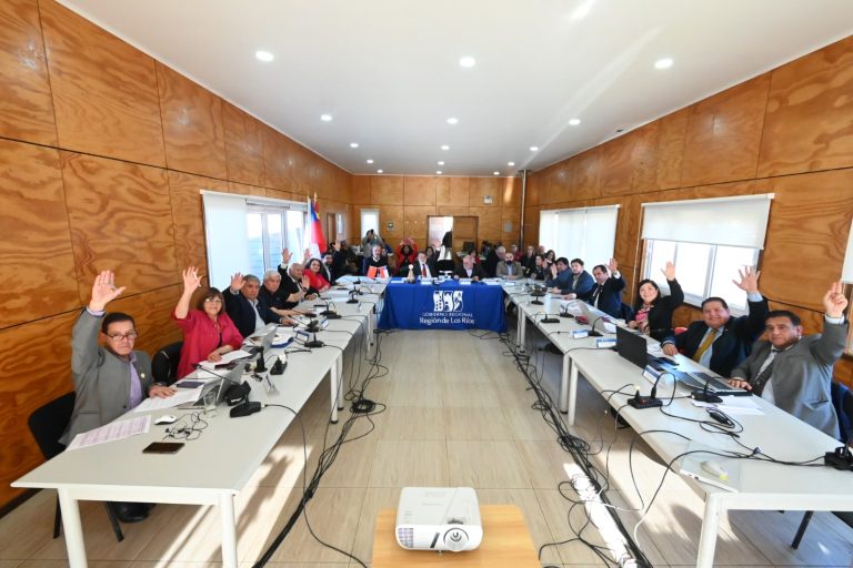 Gobierno Regional de Los Ríos destinará más de $93 millones para siete proyectos del área cultural y deportivo
