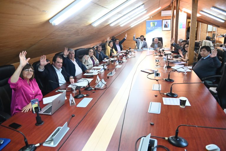 GORE de Los Ríos destina más de $170 millones para diez proyectos del área cultural y deportiva