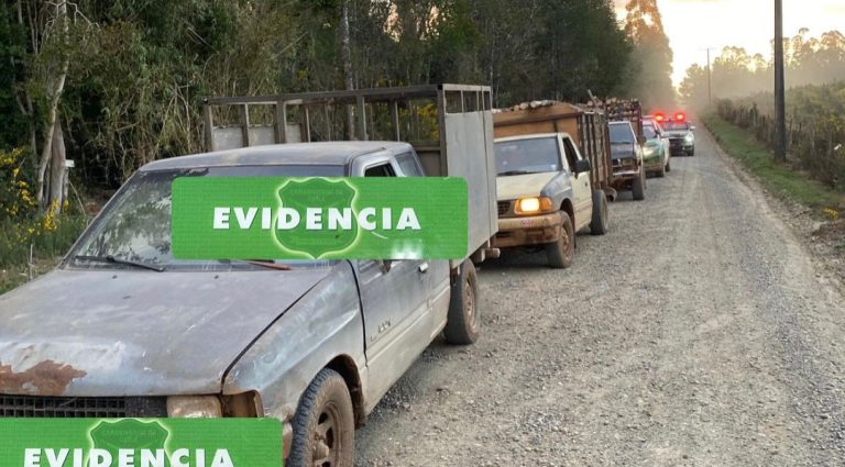 Dos hombres fueron detenidos por sustracción de madera en Paillaco