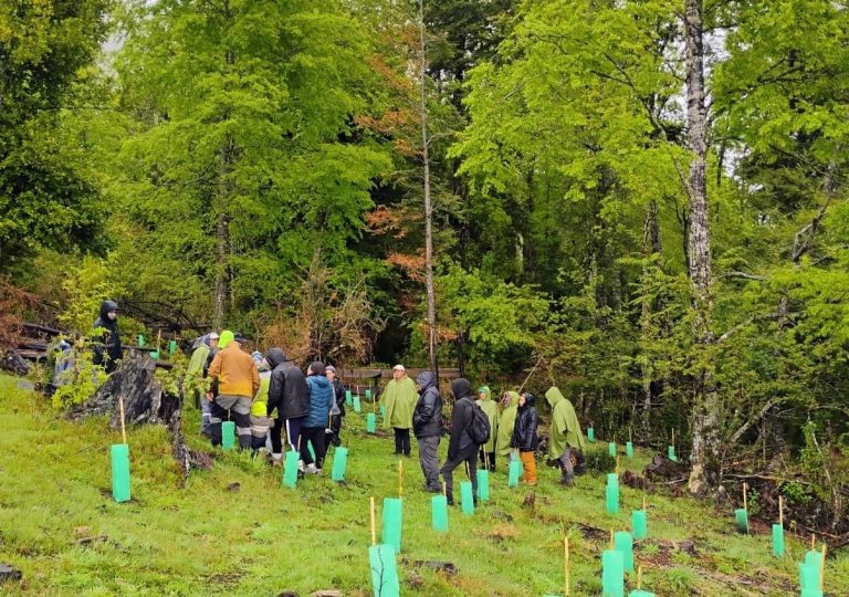 Curso de restauración de bosques y agua se realizó con éxito en Liquiñe