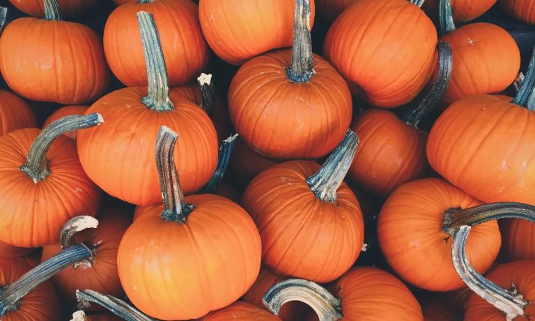 «¡Descubre los Secretos Ocultos del Halloween que Nadie se Atreve a Revelar!»