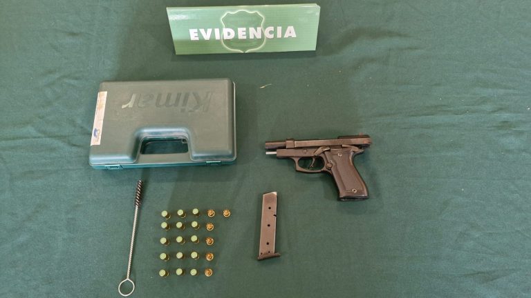 Carabineros detiene a sujeto por porte ilegal de armas y cultivo de marihuana en Valdivia