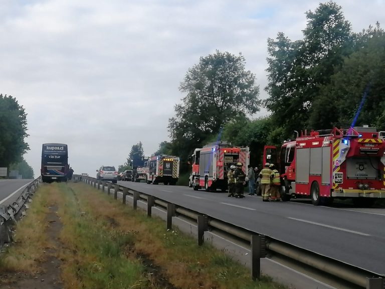Bus interprovincial con 21 pasajeros sufre despiste en Ruta 5 Sur