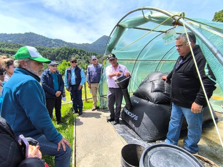 Agricultores conocen avances en biotecnologías para producción de ovinos sustentables