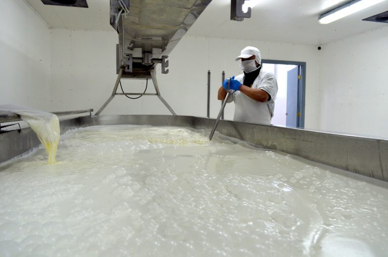 Capacitan a productores de quesos en normativa sanitaria