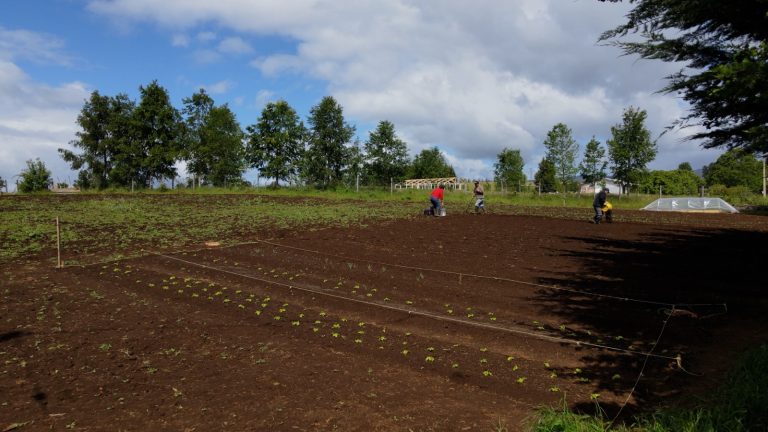 El Comité Agrícola Las Vegas de Pullangue impulsa la agroecología con el proyecto “Gestionando nuestros residuos para sembrar vida”