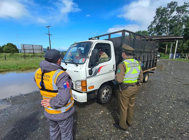 Carabineros de Paillaco realizó fiscalizaciones en Feria Ganadera junto a SAG y Ministerio de Transportes