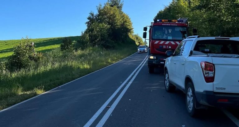 Ciclista de 67 años pierde la vida luego de ser atropellado por un camioneta en Río Bueno