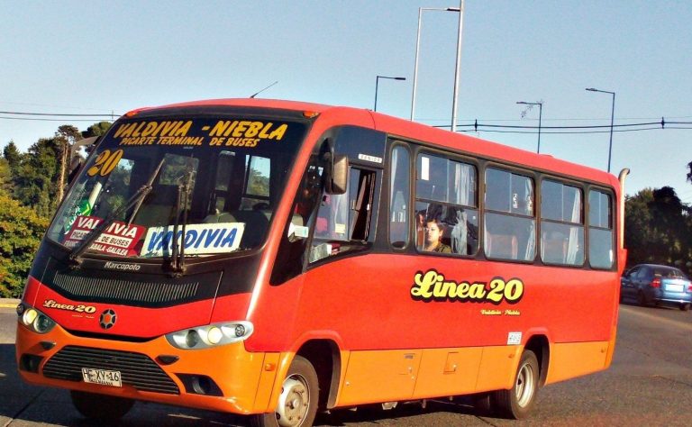 Seremi de Transportes presenta cargos contra línea de buses tras violenta pelea en Valdivia