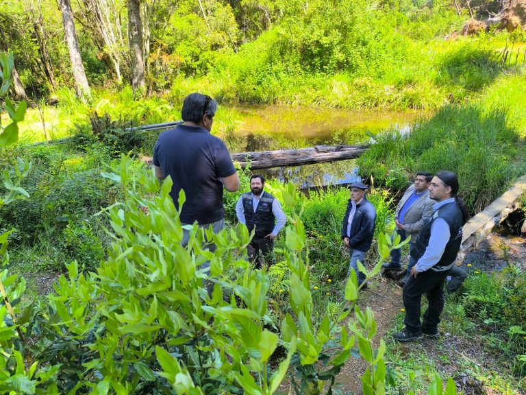 Comisión Nacional de Riego entrega esperada bonificación para proyecto asociativo de Comunidad Indígena de Los Ríos