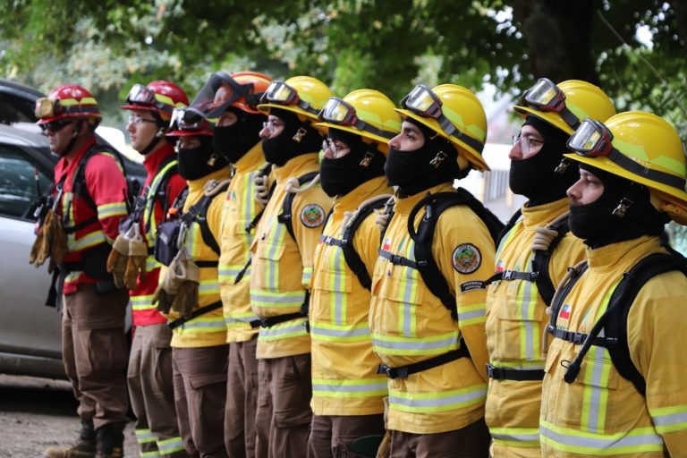 Autoridades refuerzan llamado a la prevención de incendios forestales en Los Ríos