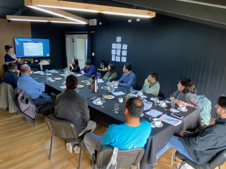 Mesa Los Ríos Economía Creativa cierra año con positiva evaluación y nuevos proyectos