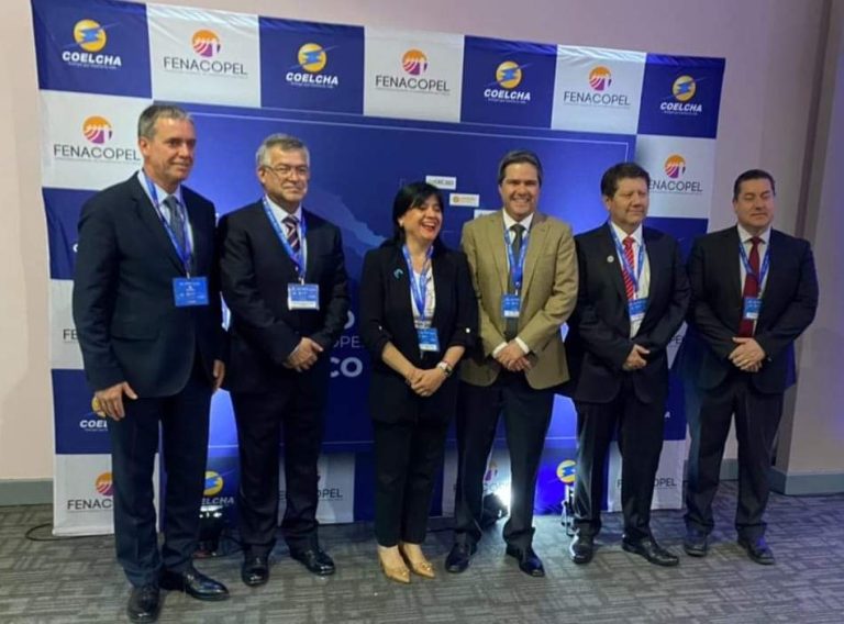 Felipe Harboe llama a apoyar a Cooperativas Eléctricas ante desafíos financieros y climáticos