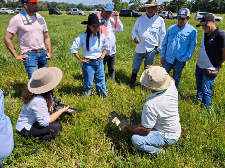 Los productores de Grassland y su aporte a un futuro sostenible