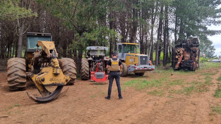 Detectives de la PDI detienen a tres sujetos por robo de madera en predio de La Unión