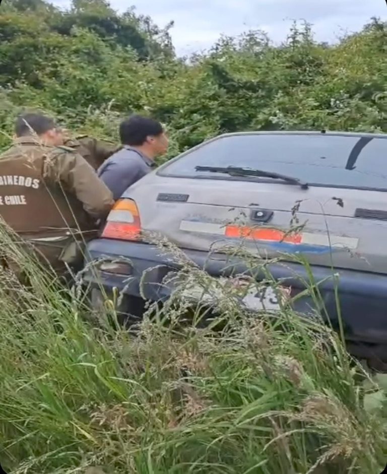 Conductor es detenido en la Ruta 5 tras protagonizar peligrosas maniobras