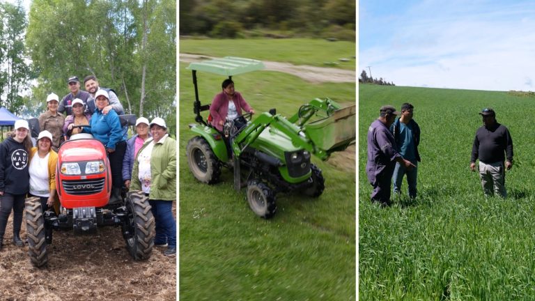 En ejecución se encuentra programa de apoyo a la agricultura regional impulsado por INDAP y el GORE Los Ríos