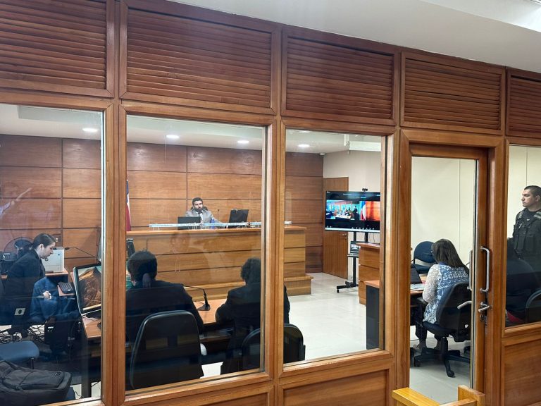 En prisión preventiva quedó imputado por homicidio de pasajera de microbús en Valdivia