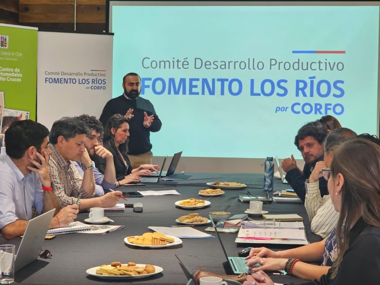 Comité Fomento Los Ríos define presupuesto e inversiones estratégicas para el 2025