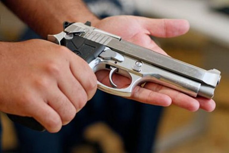 Los Ríos destaca por histórica incautación y entrega voluntaria de armas en 2024