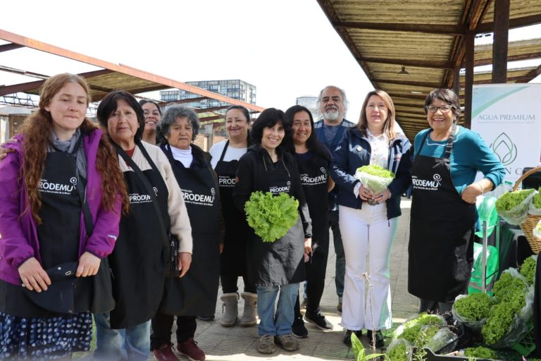 INDAP Los Ríos y Prodemu invitan a mujeres campesinas a participar en el Programa Mujeres Rurales