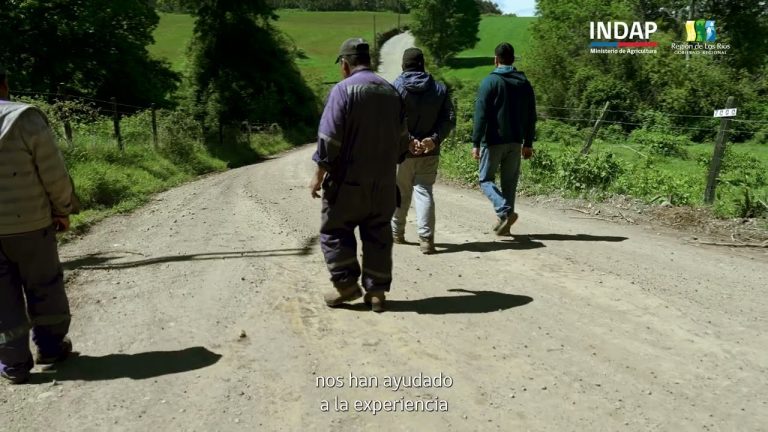 Un nuevo impulso para la Comunidad Indígena de Chosdoy en Lanco