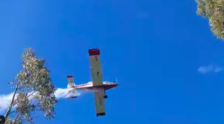 Incendio forestal afecta plantaciones de eucaliptos en San Juan de la Costa