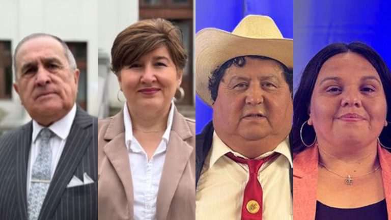 La Unión y Corral eligieron a los concejales que integrarán el directorio de la Asociación de Municipalidades Cordillera de la Costa