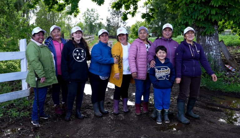 Nueve mujeres de Mariquina se adjudican maquinaria agrícola gracias a INDAP y el GORE