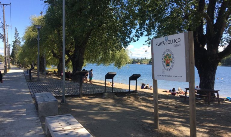 Hombre de 38 años falleció tras ahogarse en playa Collico de Valdivia