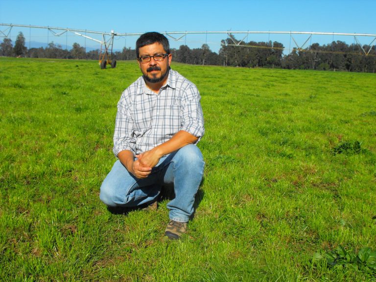 Especialista de INIA Remehue comparte claves para mejorar la producción de praderas