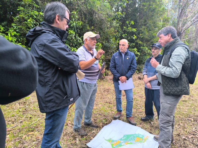 Proyecto de restauración ecológica busca asegurar abastecimiento y calidad del agua de Corral