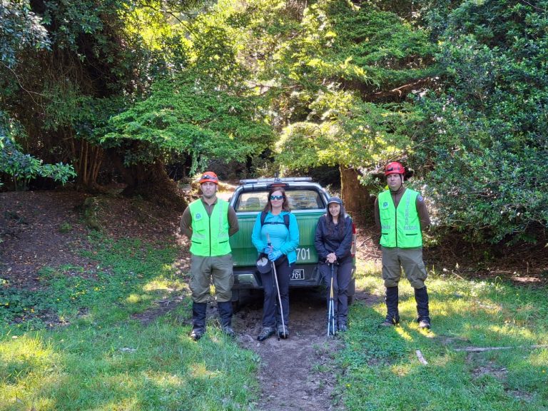 Carabineros rescatan a mujer extraviada en el Volcán Puyehue
