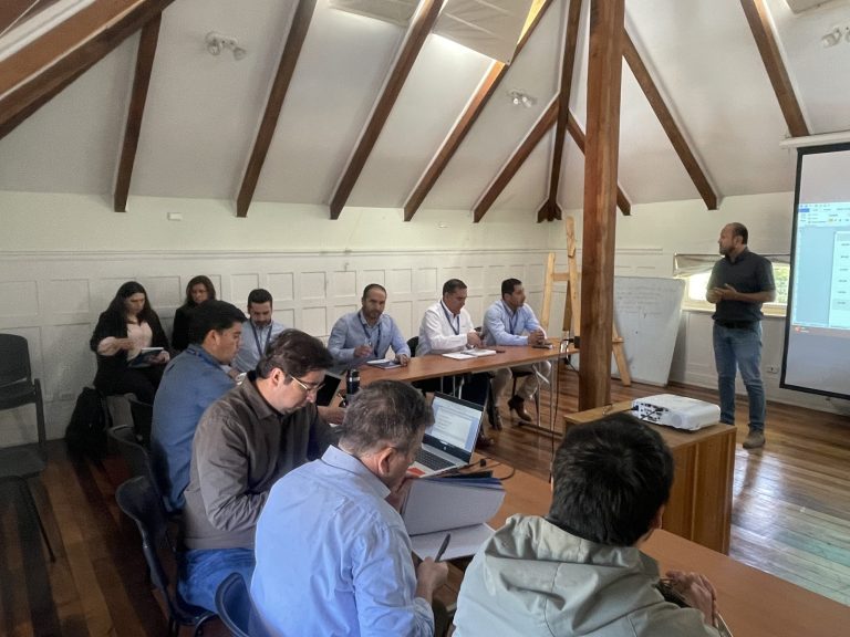 Empresas forestales y eléctricas son coordinadas por CONAF para prevenir incendios