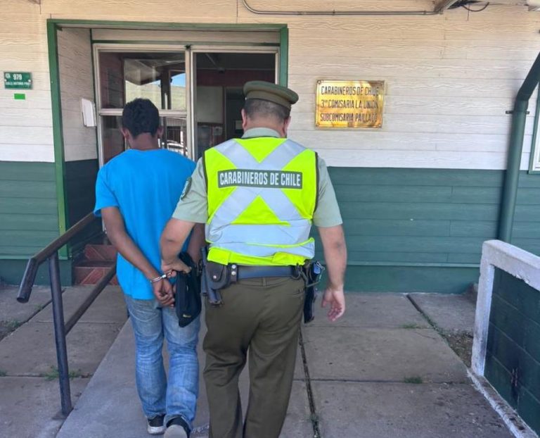 Venezolano vinculado al robo de balones de gas en Paillaco es detenido por Carabineros