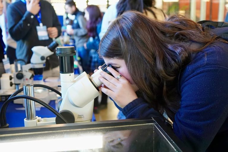 Seis proyectos del concurso Ciencia Pública 2024
