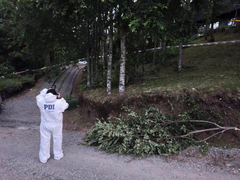 Investigan muerte de trabajador electrocutado mientras podaba un árbol en Panguipulli