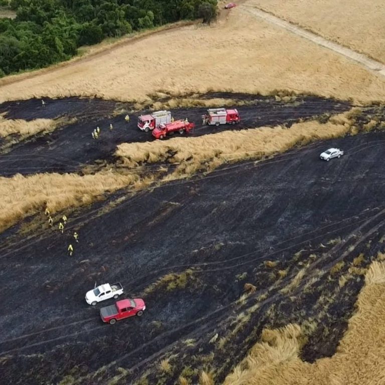 Incendio en cultivo de avena movilizó a unidades de emergencia en La Unión