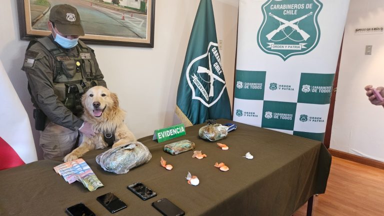 Carabineros del OS7 incautó 3 kilos de droga en cuatro operativos esta semana en Valdivia
