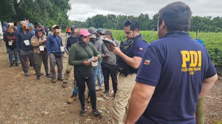 Fiscalización en predio agrícola de La Unión detectó a 46 migrantes trabajando de forma irregular
