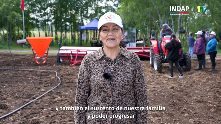 Mujeres de Mariquina impulsan su agricultura con nueva maquinaria