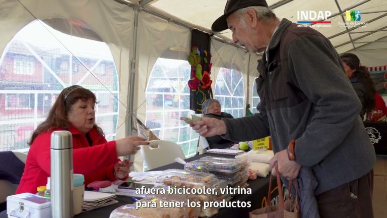 Agrupación de mujeres Feragrart de Máfil recibe importante inversión para mejorar su feria campesina